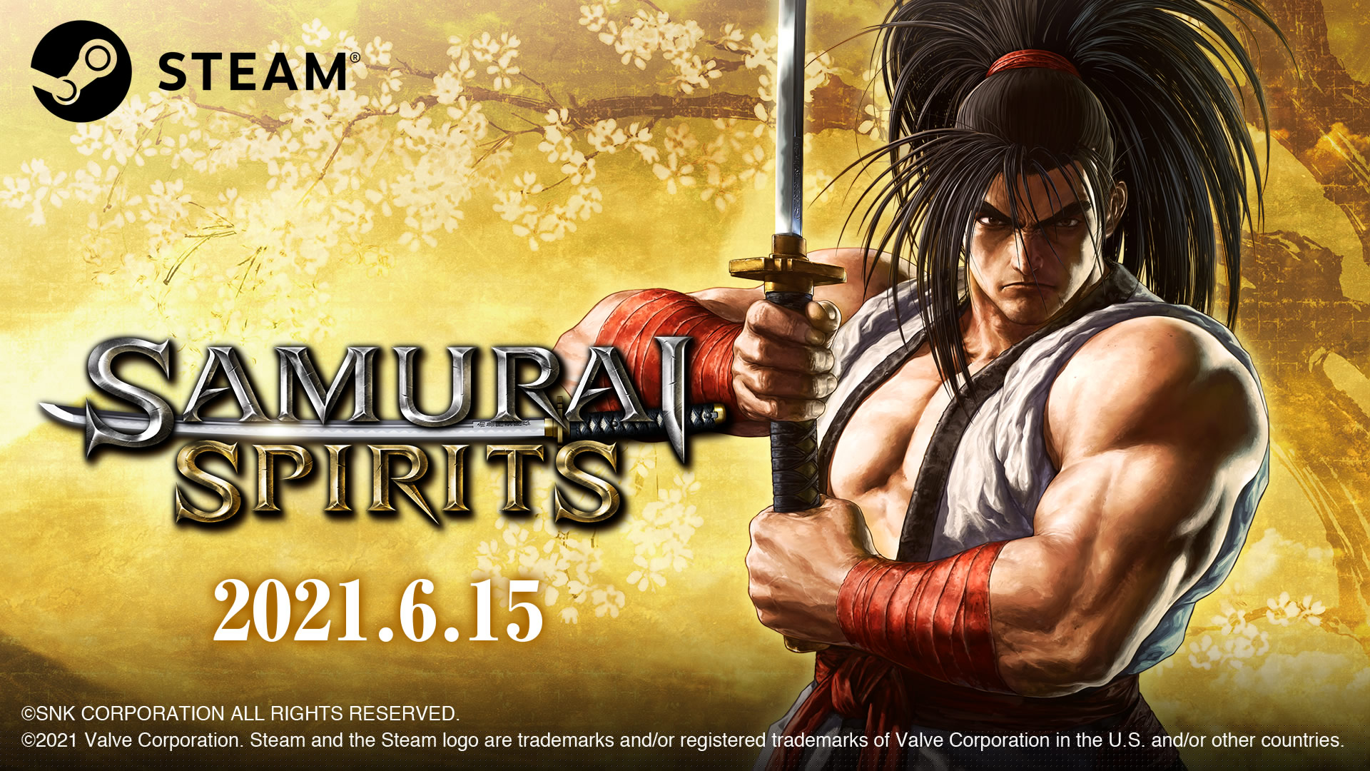 6月15日登陆steam《侍魂 晓》天草四郎同等上线